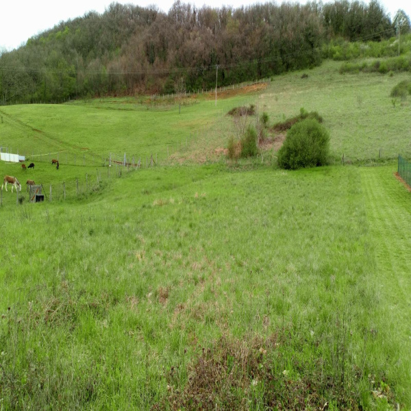 Offres de vente Terrain Panossas 38460